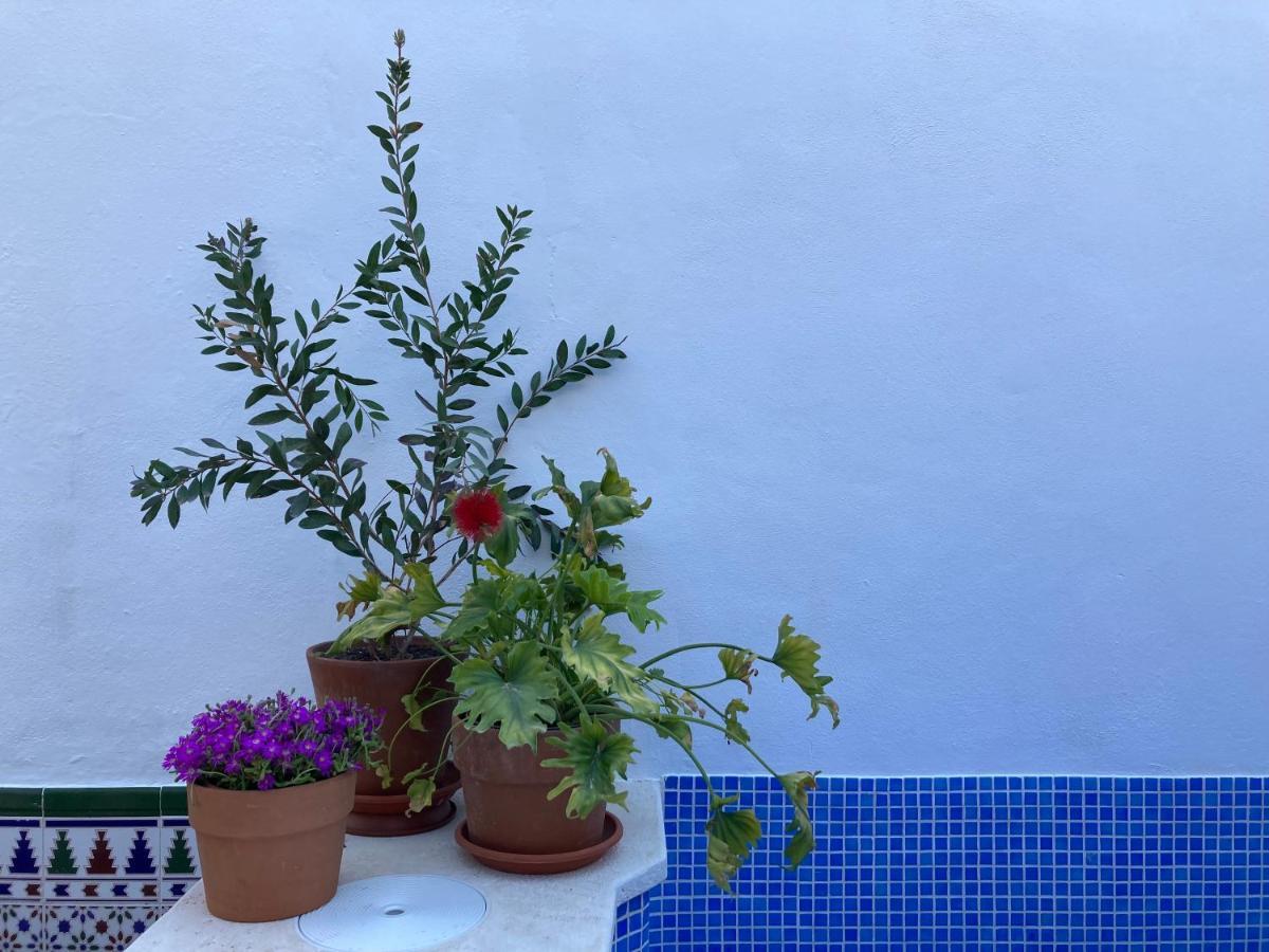 Appartamento Casa Clemente 32, Private House With Plunge Pool Málaga Esterno foto