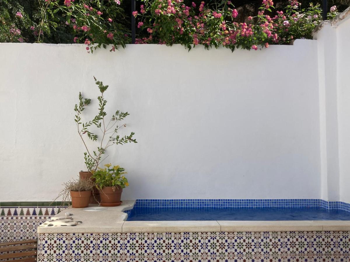Appartamento Casa Clemente 32, Private House With Plunge Pool Málaga Esterno foto